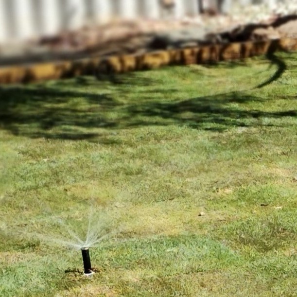 Couch lawn rolls reticulation sprinkler